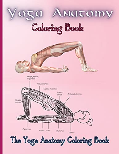 Beispielbild fr Yoga Anatomy Coloring Book: Learn the Anatomy and Enhance Your Practice (The Yoga Anatomy Coloring Book) zum Verkauf von WorldofBooks
