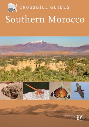 Stock image for Southern Morocco for sale by GreatBookPrices
