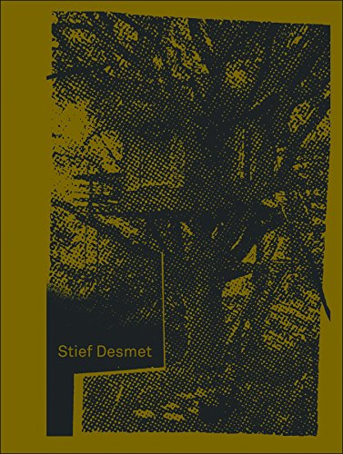 9789492081469: Once upon a golden river ; Imagine, an island: Stief Desmet