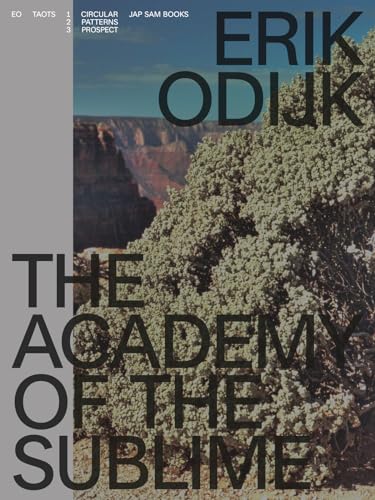 Stock image for Erik Odijk - The Academy Of The Sublime for sale by Art Data