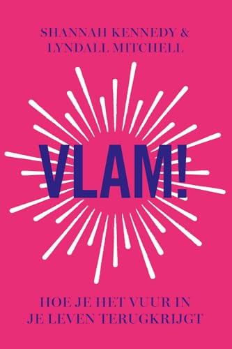 Stock image for Vlam!: hoe je het vuur in je leven terugkrijgt for sale by Buchpark