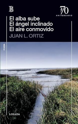 Beispielbild fr Alba Sube / El Angel Inclinado / El Aire Conmovido (colecci zum Verkauf von Juanpebooks