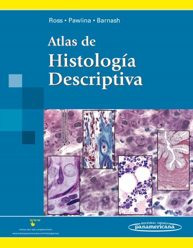 9789500602662: ROSS:Atlas de Histolog a Descriptiva