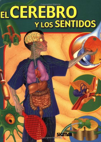 Beispielbild fr El Cerebro y Los Sentidos zum Verkauf von Better World Books