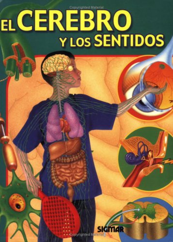 Imagen de archivo de El Cerebro y Los Sentidos a la venta por Better World Books