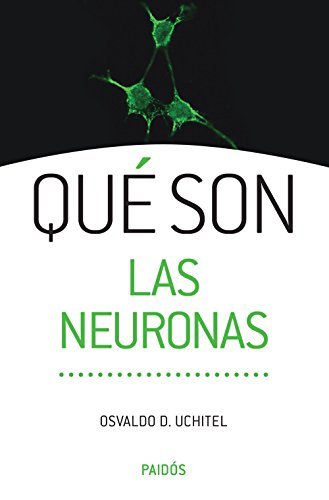 Imagen de archivo de Qu  Son Las Neuronas - Uchitel - Ed. Paid s a la venta por Juanpebooks