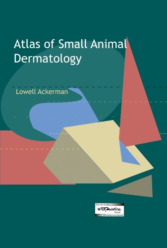 Imagen de archivo de Atlas of small animal dermatology a la venta por Revaluation Books