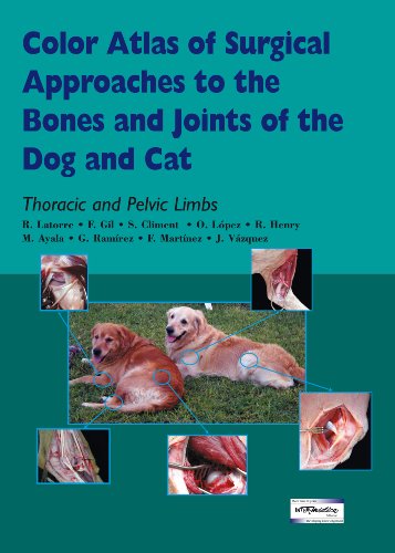 Imagen de archivo de Color Atlas of Surgical Approaches to the Bones and Joints of the Dog and Cat. Thoracic and Pelvic Limbs a la venta por ThriftBooks-Dallas