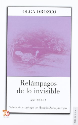 RELAMPAGOS DE LO INVISIBLE (Spanish Edition) (9789505578108) by OROZCO, OLGA