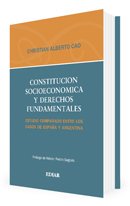 9789505743407: Constitucin Socioeconmica Y Derechos Fundamentales