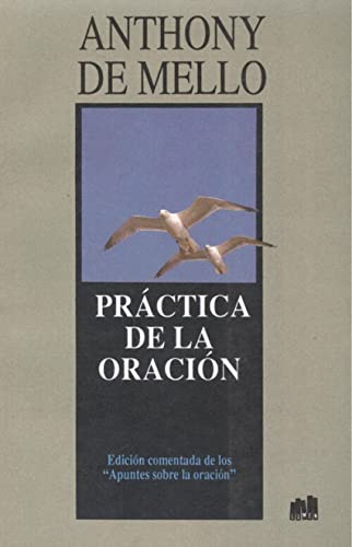 Stock image for La Practica de La Oracion (Spanish Edition) for sale by Second  Site Books