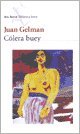 COLERA BUEY (Spanish Edition) (9789507316463) by Juan Gelman