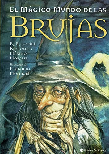 Stock image for El Magico Mundo De Las Brujas / The Magic World of the Witches (Spanish Edition) for sale by GF Books, Inc.