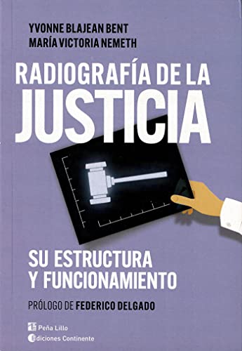 Stock image for RADIOGRAFIA DE LA JUSTICIA for sale by AG Library