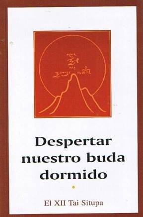 Imagen de archivo de DOS SIGLOS EN LA ARGENTINA. UNA INTERPRETACION SOCIOHISTORICA a la venta por CATRIEL LIBROS LATINOAMERICANOS