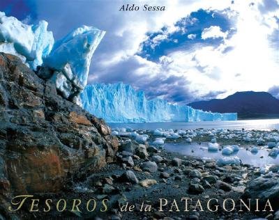 Stock image for Tesoros De La Patagonia - Treasures Of Patagonia - Incluye Dvd for sale by Guido Soroka Bookseller