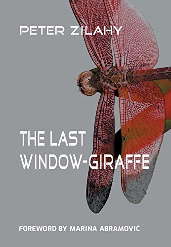 Stock image for The Last Window-Giraffe for sale by Books Unplugged