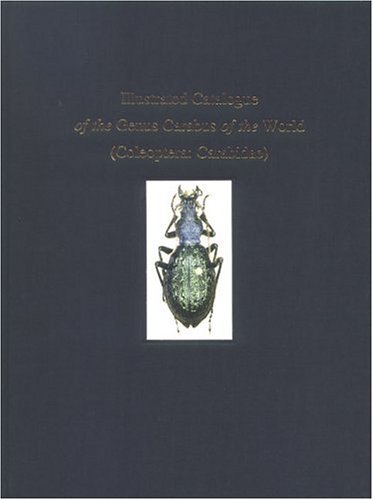 9789546422002: Illustrated Catalogue of the Genus Carabus of the World Coleoptera: Caribidae: Coleoptera: Carabidae