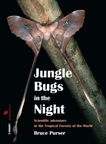 Stock image for Jungle Bugs in the Night: Nocturnal Activities of Insects and Spiders in Tropical Forests of the World for sale by ThriftBooks-Dallas