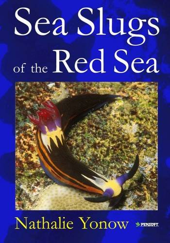 Beispielbild fr Sea Slugs of the Red Sea zum Verkauf von J. HOOD, BOOKSELLERS,    ABAA/ILAB