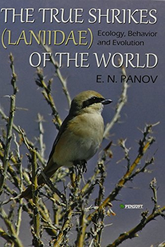 Imagen de archivo de The True Shrikes Laniidae of the World: Ecology, Behavior and Evolution a la venta por ThriftBooks-Atlanta