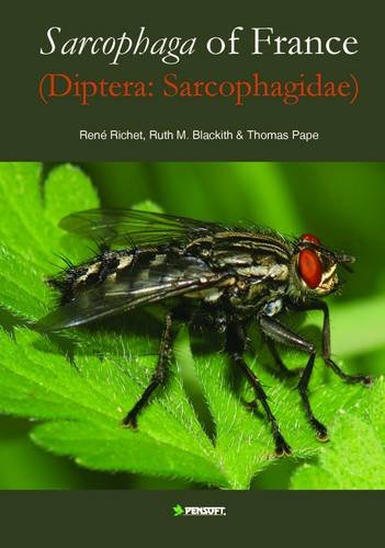 Stock image for Sarcophaga of France: Diptera: Sarcophagidae (Faunistica) for sale by The Book Bin