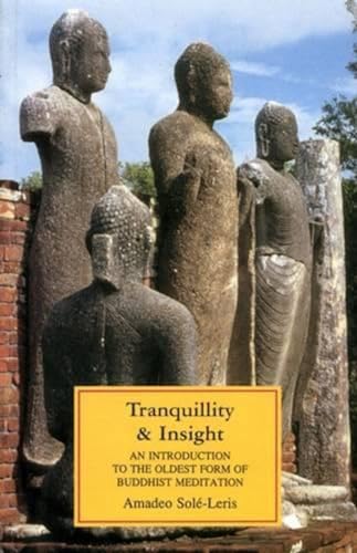 Beispielbild fr Tranquility and Insight: Introduction to the Oldest Form of Buddhist Meditation zum Verkauf von WorldofBooks