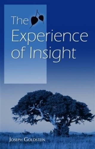 Beispielbild fr Experience of Insight: A Natural Unfolding zum Verkauf von WorldofBooks