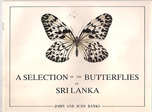 9789558156247: A Selection of the Butterflies of Sri Lanka