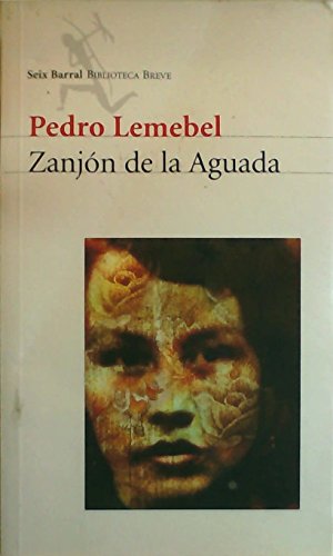 Zanjon de La Aguada (Spanish Edition) (9789562473118) by Pedro Lemebel