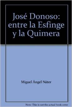 Imagen de archivo de FILTRACIONES I: CONVERSACIONES SOBRE ARTE EN CHILE; Coleccin Rabo del Ojo a la venta por Howard Karno Books, Inc.