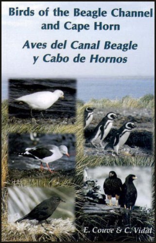 Beispielbild fr Birds of the Beagle Channel and Cape Horn zum Verkauf von Newsboy Books