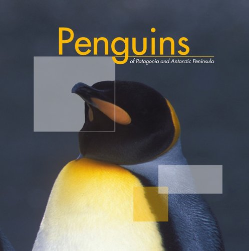 Stock image for Penguins of Patagonia and Antarctic Peninsula for sale by ZBK Books