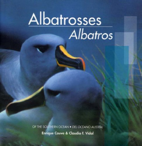 Stock image for Albatrosses / Albatros: Of the Southern Ocean / Del Oceano Austral for sale by Half Price Books Inc.