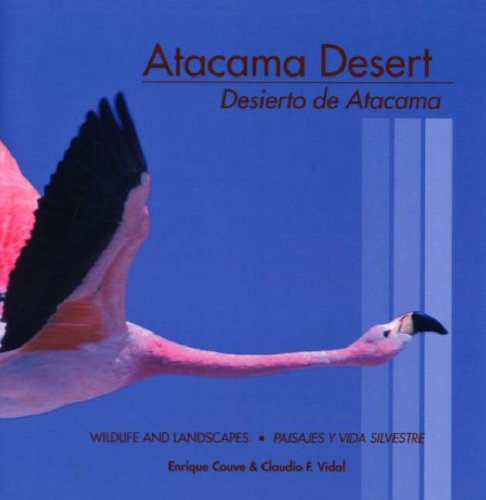 Stock image for Atacama Desert / Desierto De Atacama: Wildlife and Landscapes / Paisajes Y Vida Silvastre for sale by More Than Words