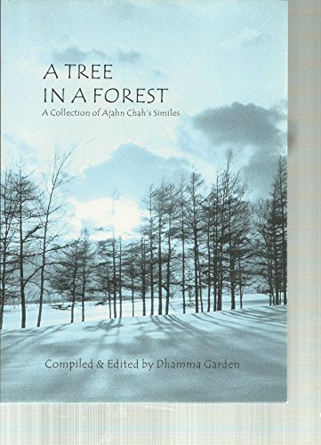 9789578896055: Tree in a Forest: A Collection of Ajahn Chah's Similes