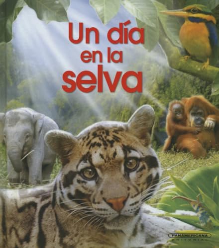 Stock image for Un Da En La Selva- One Day in the Jungle for sale by medimops