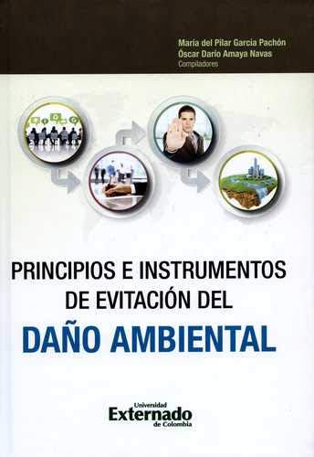 Stock image for PRINCIPIOS E INSTRUMENTOS DE EVITACI N DEL DA O AMBIENTAL for sale by dsmbooks