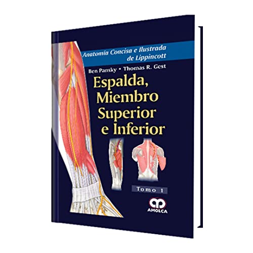 Stock image for Anatom a Concisa Ilustrada Espalda Miembro Superior E Inferi for sale by Libros del Mundo