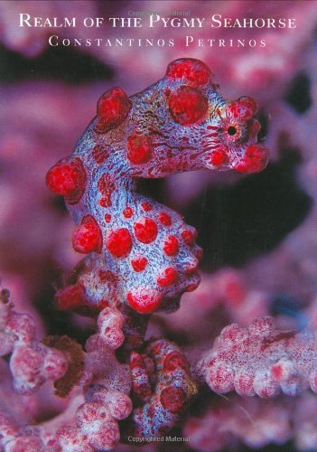Realm of the Pygmy Seahorse. An Underwater photography Adventure.
