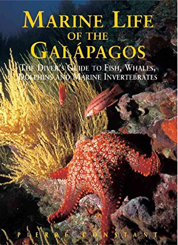 9789622177673 Marine Life Of The Galapagos Divers Guide