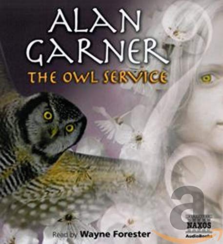 9789626349311: The Owl Service