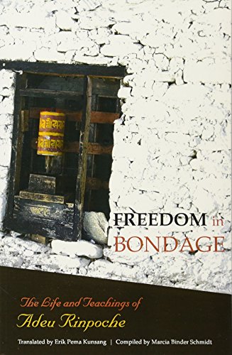 Stock image for Freedom In Bondage for sale by Bulk Book Warehouse