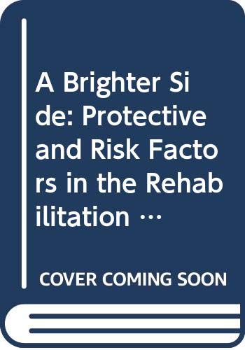 9789629964009: A Brighter Side: Protective and Risk Factors in the Rehabilitation of Chronic Drug Abusers in Hong Kong