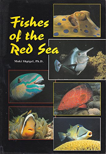 Fishes Of The Red Sea