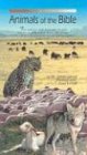 9789652801067: Animals of the Bible: "From the Lion to the Snail"