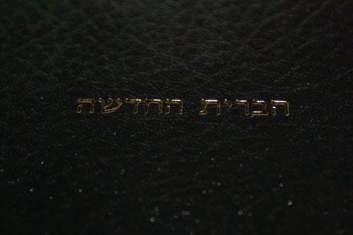 9789654310116: Modern Hebrew New Testament