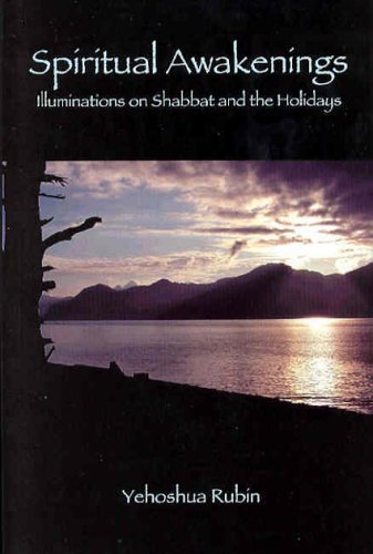 Stock image for Spiritual Awakenings: Illuminations on Shabbat and the Holidays [Hardcover] Yehoshua Rubin and Shoshana Lepon for sale by GridFreed