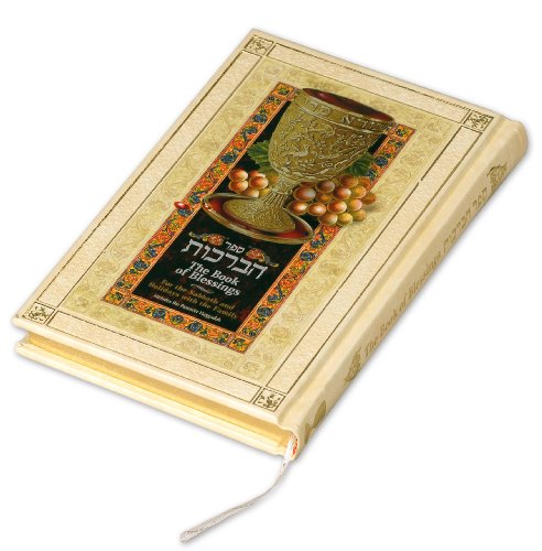 Stock image for The Book of Blessings for the Sabbath and Holidays for sale by Front Cover Books