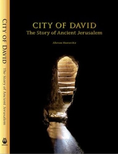 Beispielbild fr City of David: The Story of Ancient Jerusalem zum Verkauf von HPB-Red